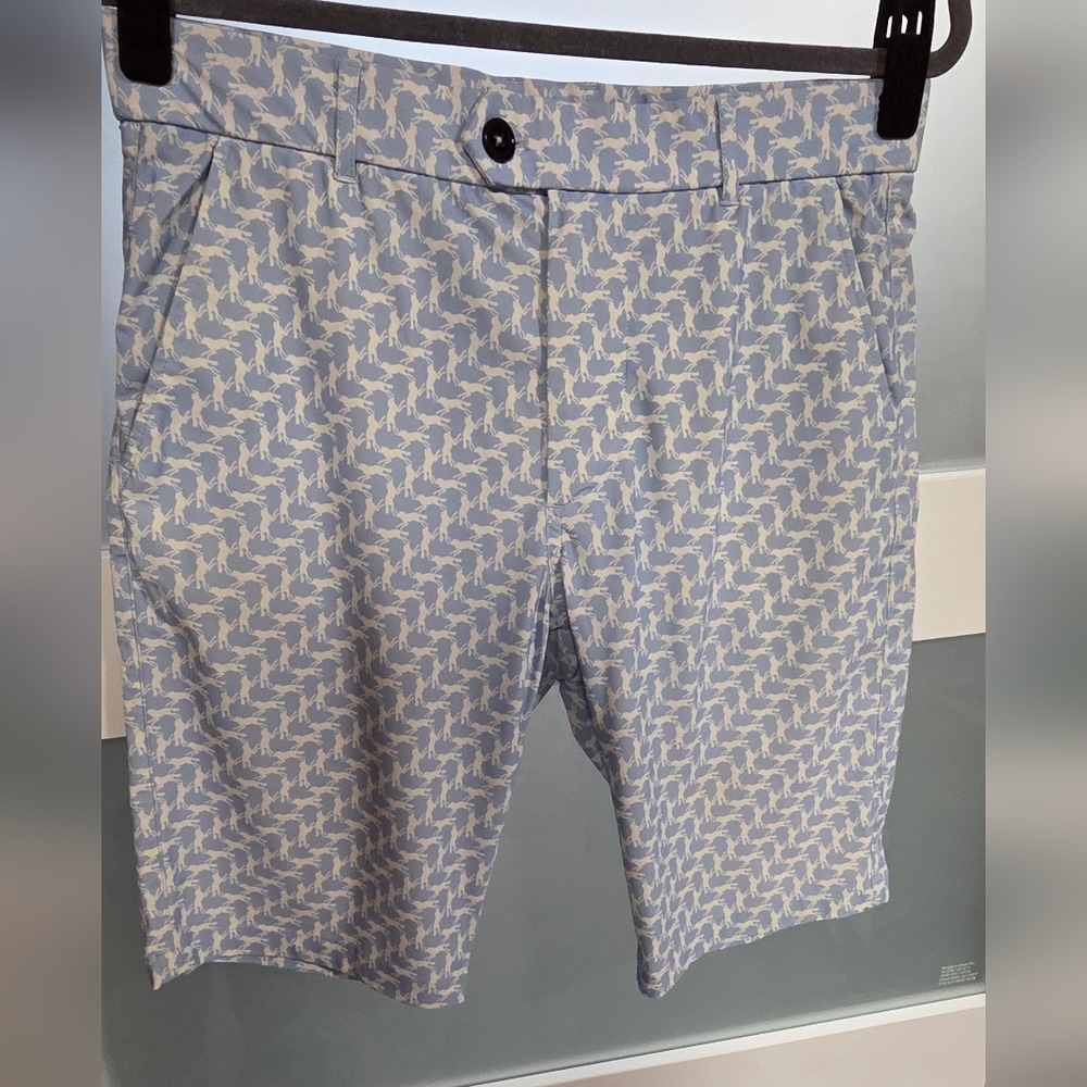 Greyson Light Blue Patterned Flat-Front Shorts - image 1